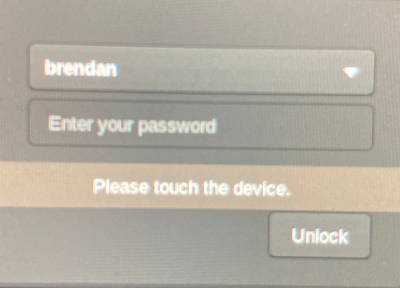 LightDM touch login